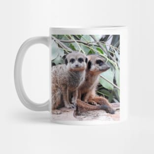 Meerkats Mug